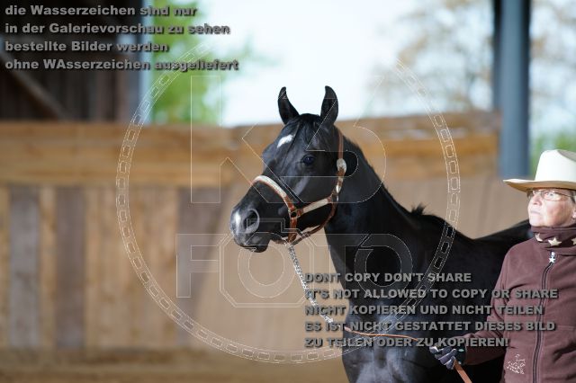 s_K3F04837.JPG
